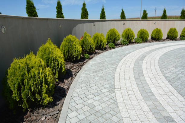 Professional Driveway Pavers in Daleville, VA