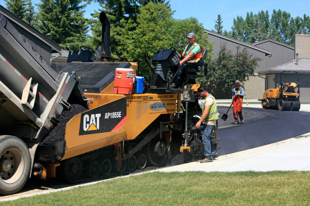 Best Custom Driveway Pavers  in Daleville, VA